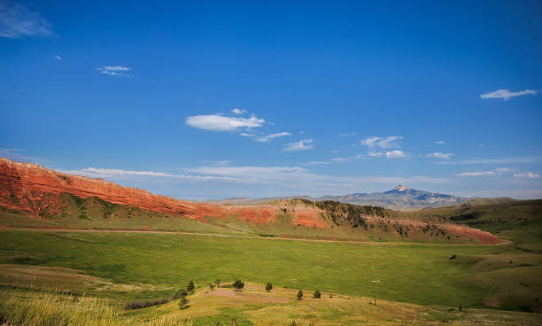 istock Red rock canyon in a lush summer landscape 1031757028
