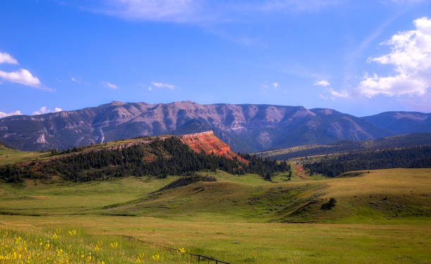 Red rock canyon in a lush summer landscape