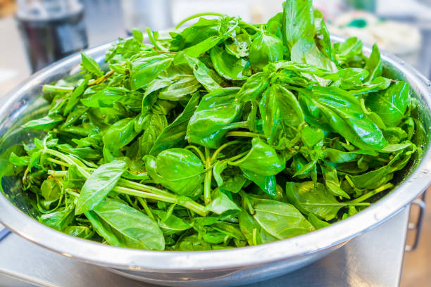 Freshly washed organic, locally-grown spinach in a stainless steel bowl.