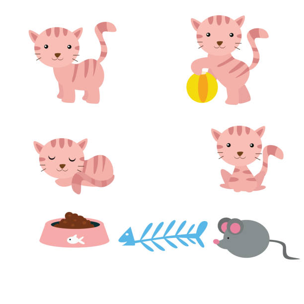 istock variation cute little cats in various poses, cartoon character 1031795558
