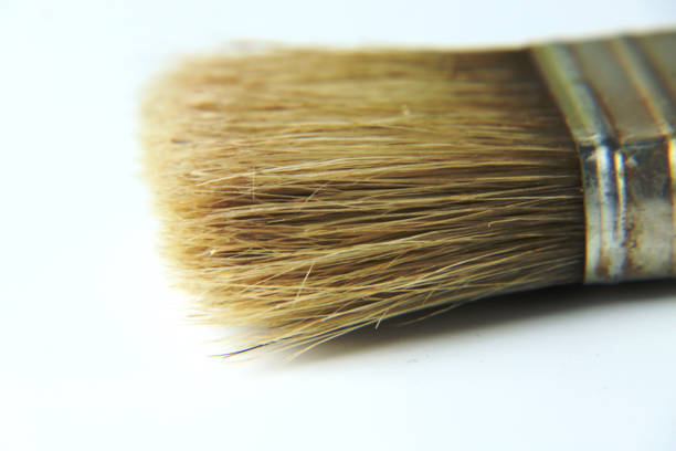 istock A small brush for painting walls and so on on white background 1031802976