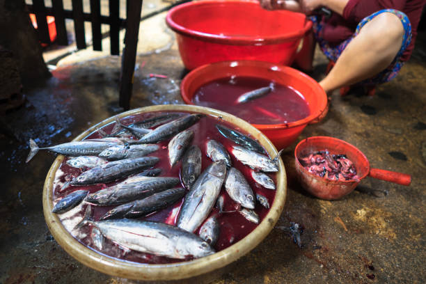 istock Seafood processing at fish market in Quy Nhon, south Vietnam 1031813864