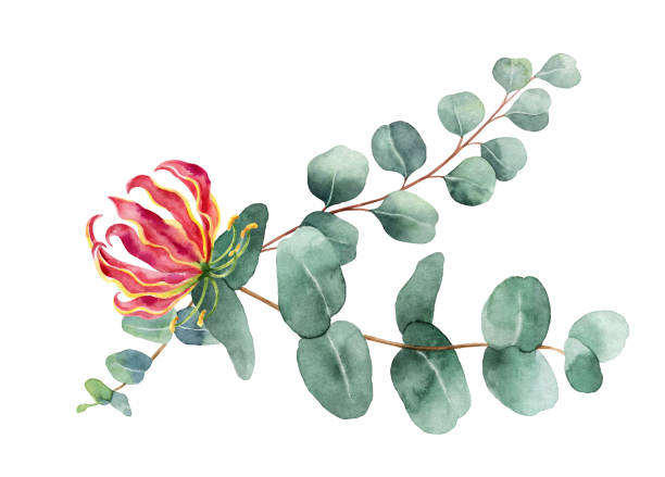 istock Watercolor hand painted branches with green eucalyptus and exotic flower. 1031813962