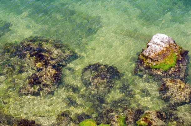Russia, the Black Sea, the southern coast of the Crimean Peninsula