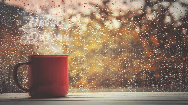 istock A cup of tea. Hello, autumn. Selective focus. 1031814248