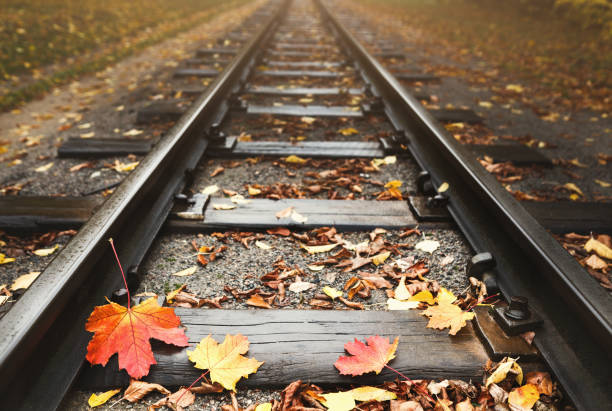 istock Railway strewn with fallen autumn leaves 1031822828