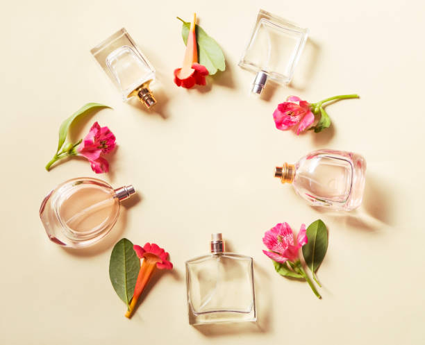 istock Beauty arrangement 1031837240
