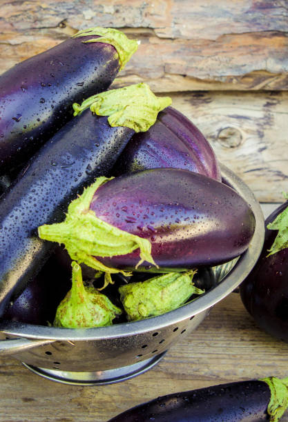 istock Eggplant. Food. Selective focus. nature garden food. 1031844112