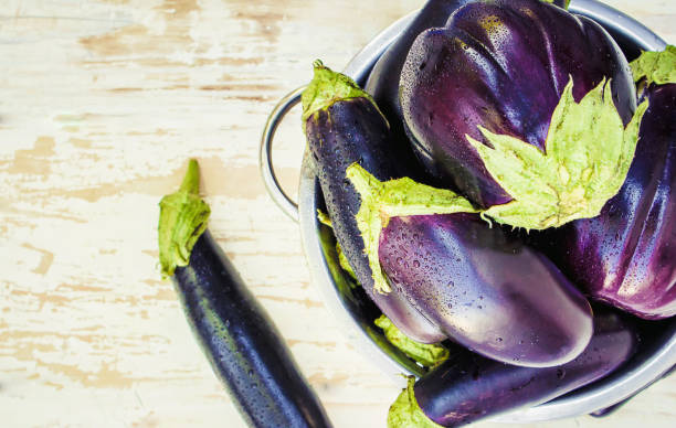istock Eggplant. Food. Selective focus. nature garden food. 1031844152