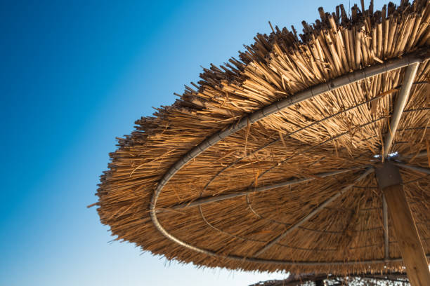 istock Straw sun umbrella detail 1031845014