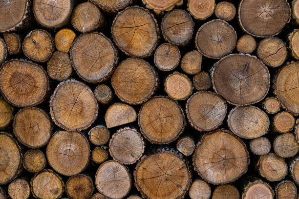 木の板の端 - wood tree textured wood grain ストックフォトと画像