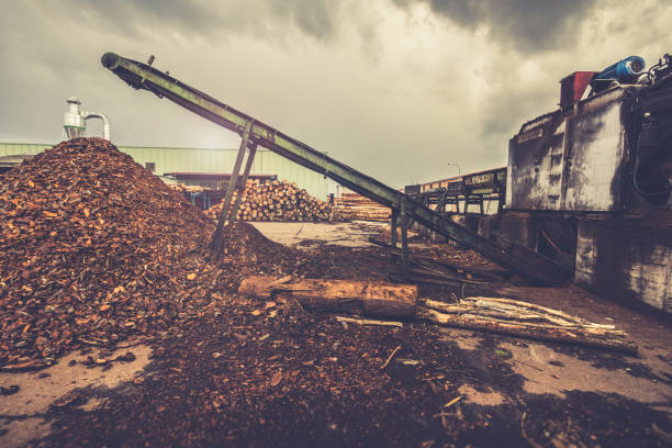 istock Professional machinery in a pine trunks sawmill 1031856412