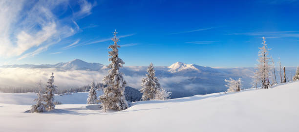 istock Frosty day in the mountains 1031856784