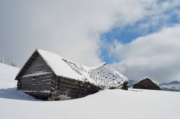 istock Destroyed wooden house 1031856826