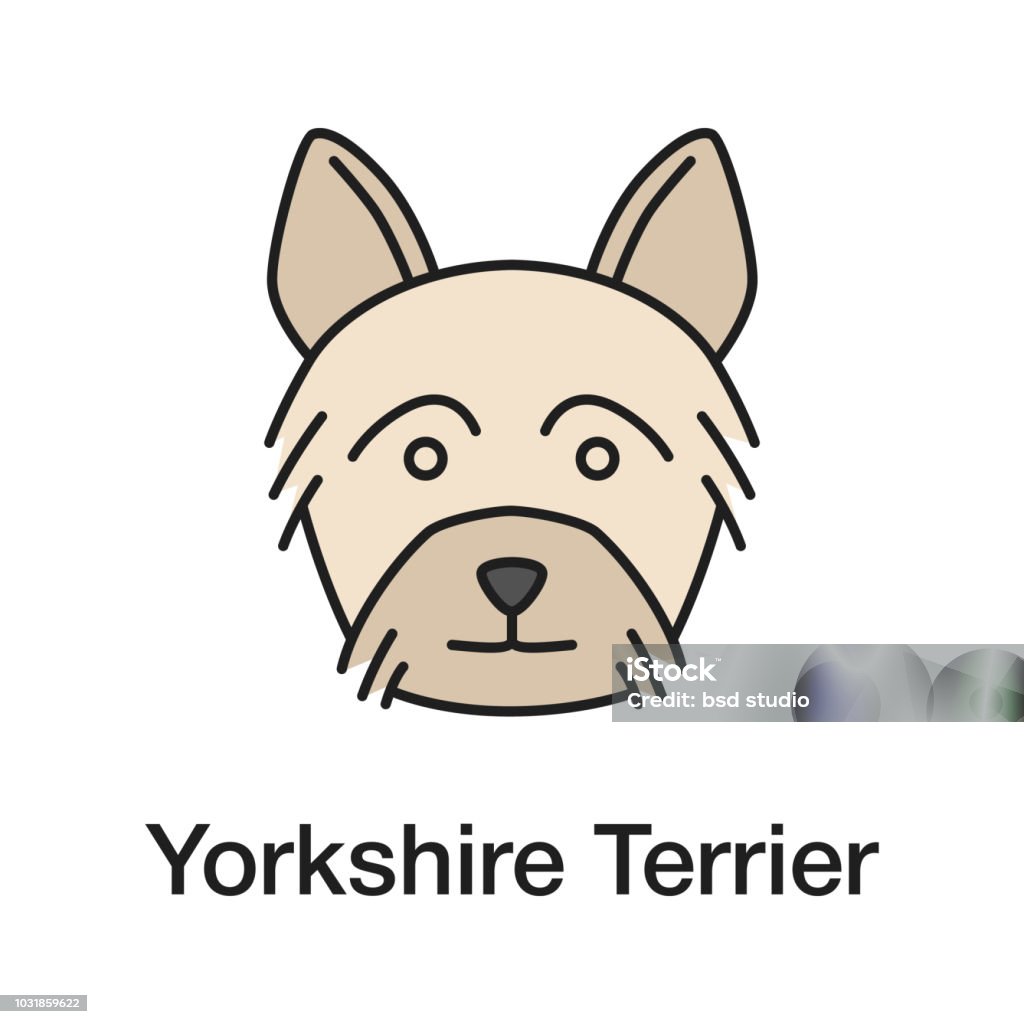 Yorkshire Terrier icon Yorkshire Terrier vector color icon. Yorkie Yorkshire Terrier stock vector