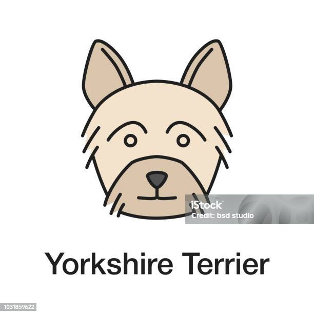 Yorkshire Terrier Icon Stock Illustration - Download Image Now - Yorkshire Terrier, Color Image, Cut Out