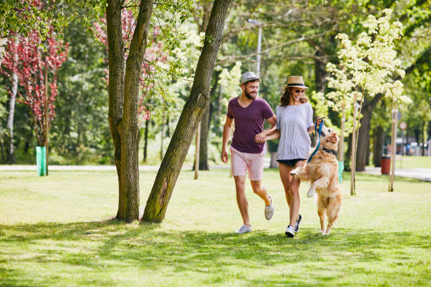 giovane coppia che corre e gioca con il proprio cane all'aperto al mattino - dog pets healthy lifestyle cheerful foto e immagini stock