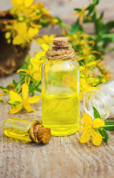 istock St. John's wort medicinal. Homeopathy. Selective focus. 1031860062