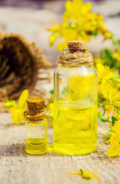 istock St. John's wort medicinal. Homeopathy. Selective focus. 1031860074