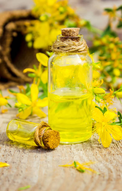 istock St. John's wort medicinal. Homeopathy. Selective focus. 1031860094