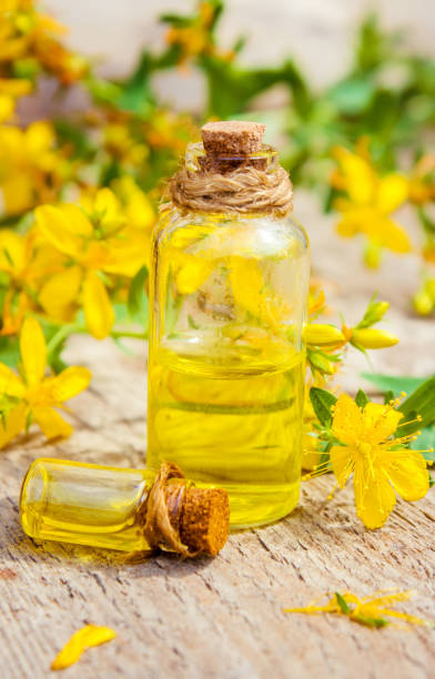 istock St. John's wort medicinal. Homeopathy. Selective focus. 1031860116