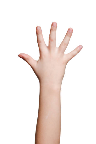 Children's hand isolated on white stock photo