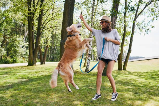 istock Young woman playing with her dog while on a walk in the park during summer 1031867506