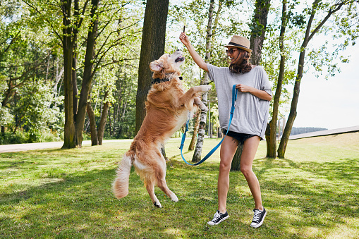 Young woman playing with her dog while on a walk in the park during summer