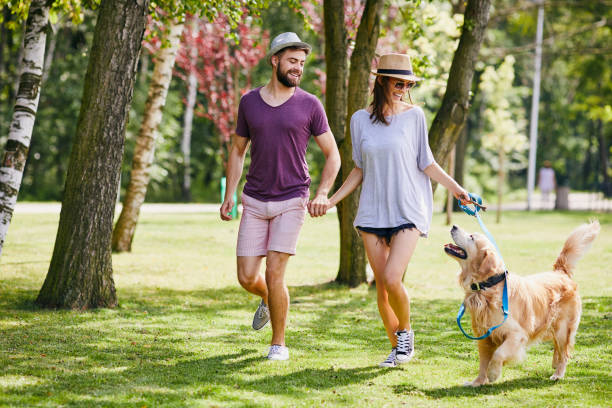 jeune couple promener leur chien ensemble dans le parc au cours de l’été - joy golden retriever retriever dog photos et images de collection