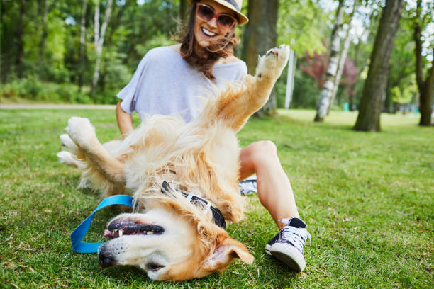 fröhliche junge frau mit ihrem hund im freien im park spielen - retriever golden retriever dog happiness stock-fotos und bilder