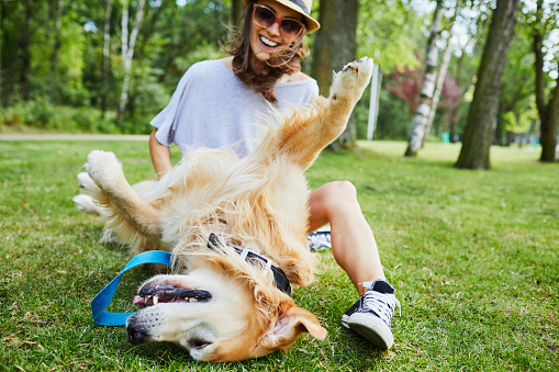 FIND PET-SITTER FOR THE HOLIDAYS: TIPS TO KEEP IN MIND