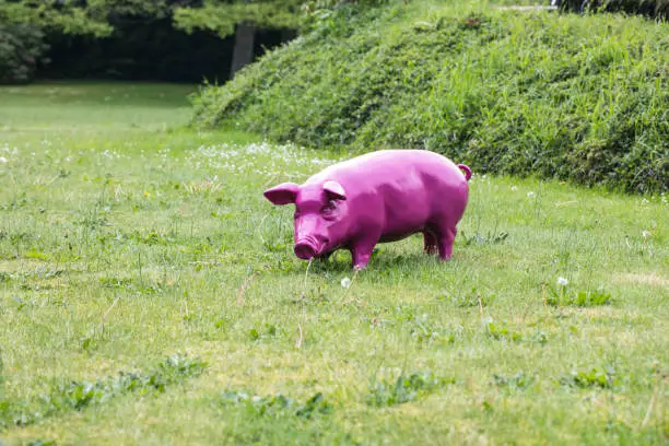 Photo of artificial pink pig on the grass