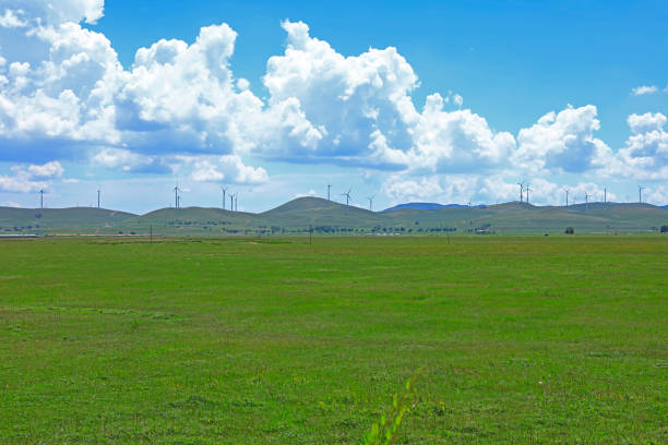 The beautiful scenery of the grassland