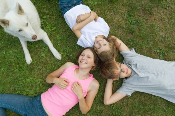istock Children with dog on green grass, top view 1031877530