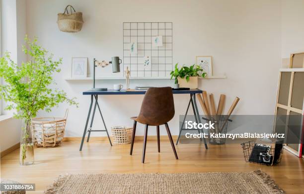 Brown Chair At Desk With Plants And Lamp In White Workspace Interior With Carpet Real Photo Stock Photo - Download Image Now
