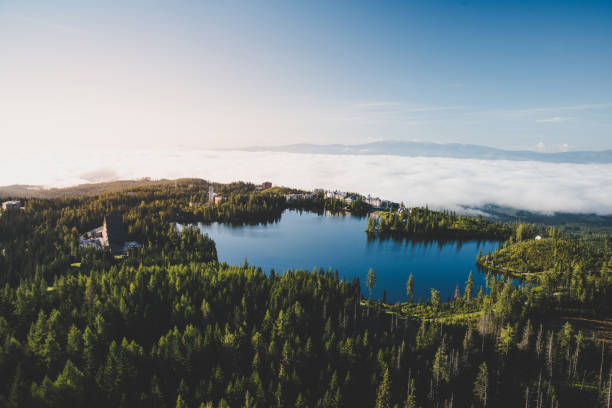istock Beautiful blue lake and green forest, mist in background 1031886818