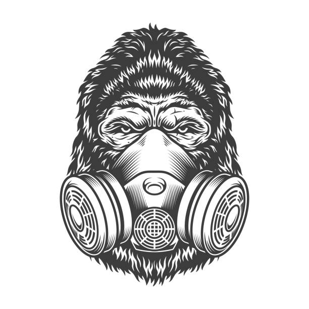 Serious gorilla in monochrome style Serious gorilla in monochrome style in the respirator dust mask. Vector vintage illustration angry monkey stock illustrations