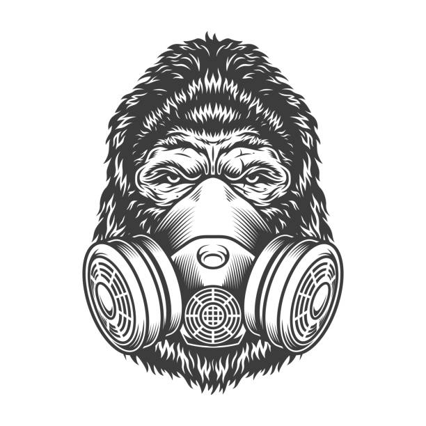 Serious gorilla in monochrome style Serious gorilla in monochrome style in the respirator dust mask. Vector vintage illustration serious monkey stock illustrations