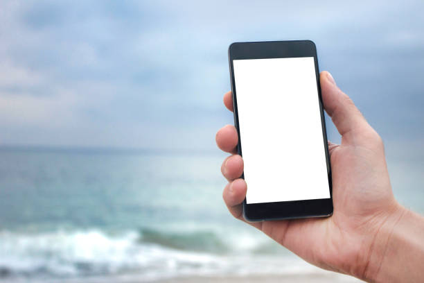 istock Young tourist looking for signal at the beach 1031900486