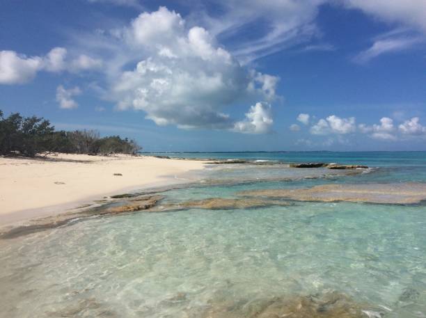 istock Perfect turks and caicos beaches 1031900776