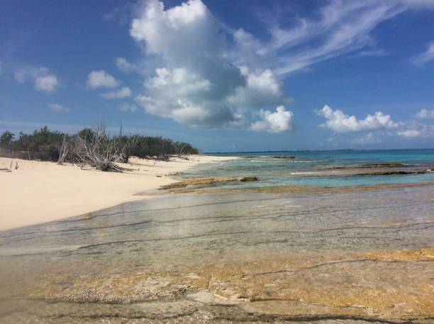istock Perfect turks and caicos beaches 1031900900