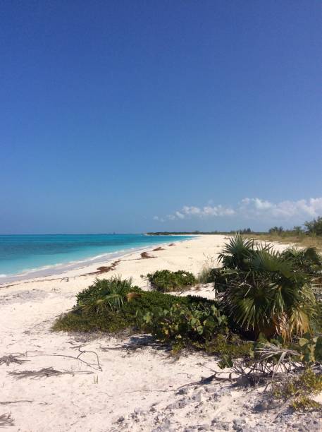 istock Perfect turks and caicos beaches 1031901002