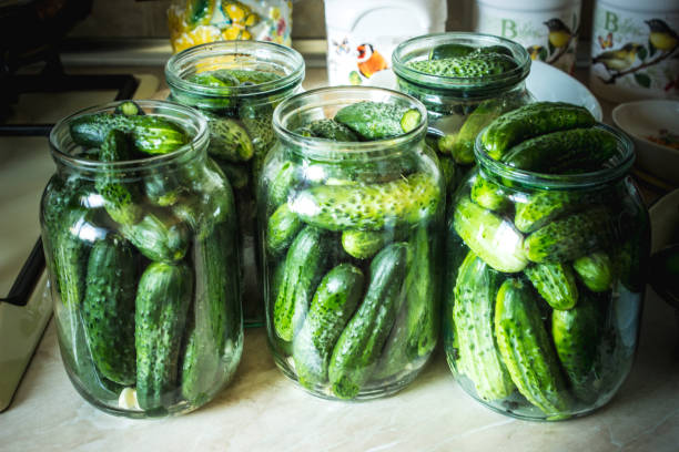 istock preservation of fresh house cucumbers. Selective focus. 1031904472