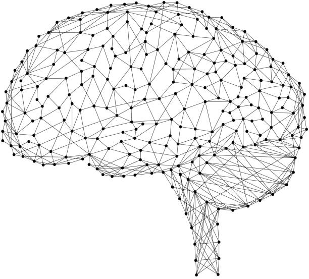 istock Brain head human anatomical body from abstract futuristic polygonal black lines and dots. Vector illustration. 1031910072