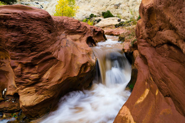 istock Fall Colors Red Rock Canyon Utah 1031913098