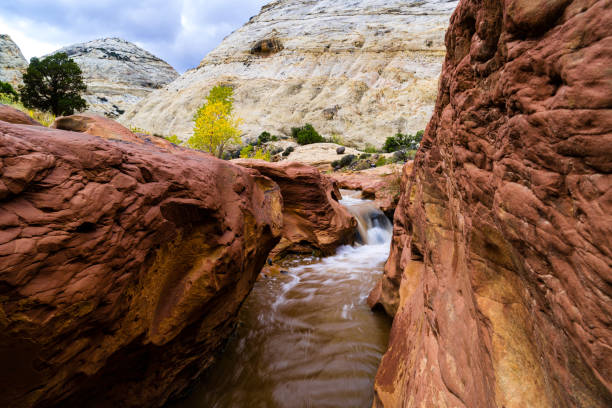 istock Fall Colors Red Rock Canyon Utah 1031913342