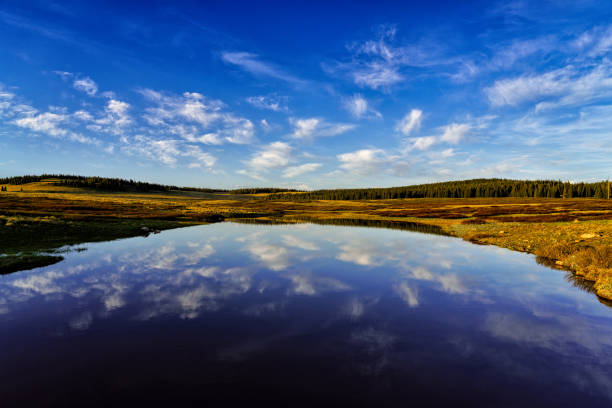 Stunning landscape with reflection