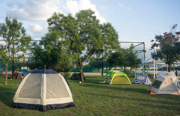 istock Tents on grass meadow camping park. 1031920016