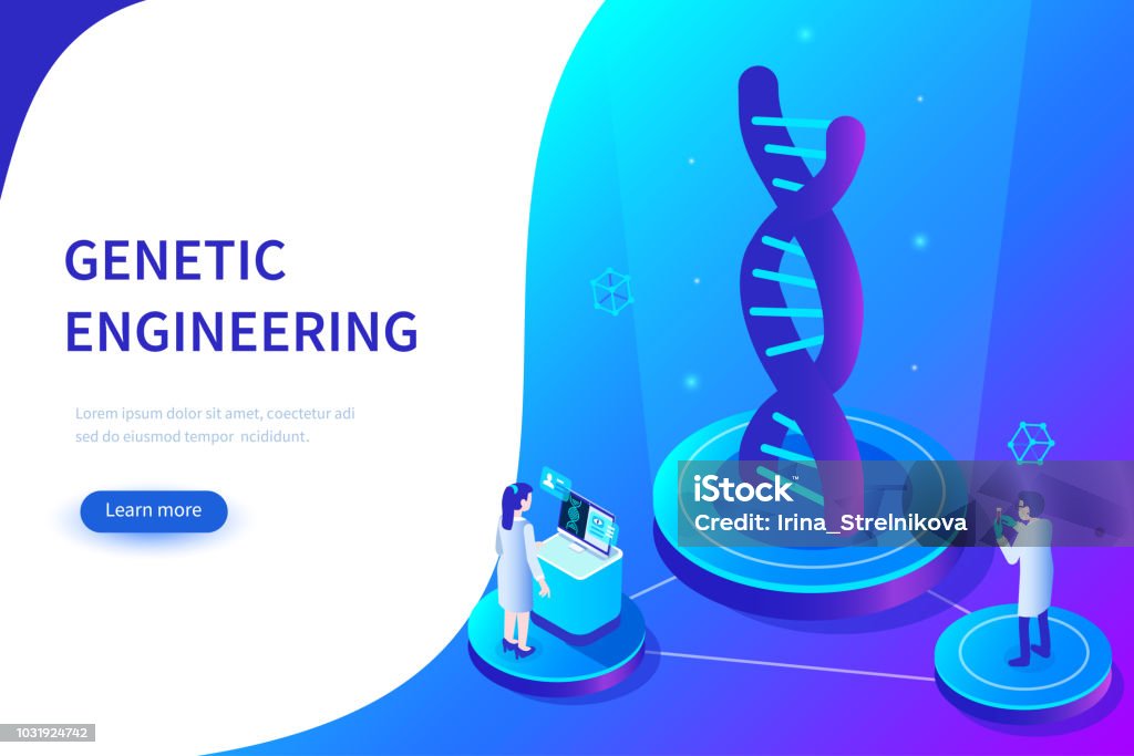 genetic engineering Genetic engineering concept. Can use for web banner, infographics, hero images. Flat isometric vector illustration isolated on white background. DNA stock vector
