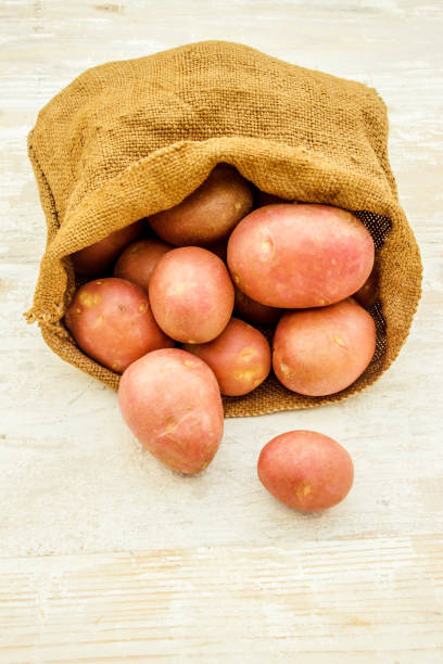 istock Food frame, market fresh food. 1031928104